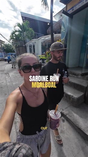 Experience the Sardine Run in Moalboal, Philippines!