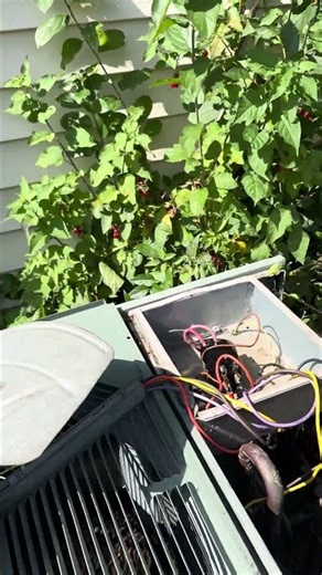 How to replace the fan motor