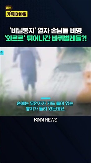 Man Enters Restaurant with Bag, Releases '100' Cockroaches, and Flees? / KNN