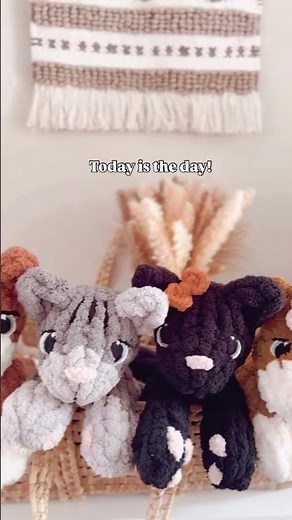 Hand knit / Finger Knit Kora Kitty Cat / Chunky knit tutorial / www.cozycloudknits.etsy.com