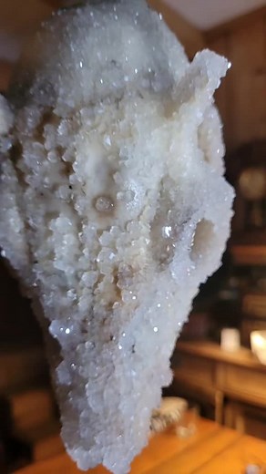 DIY Borax Crystalized Deer Skull Project