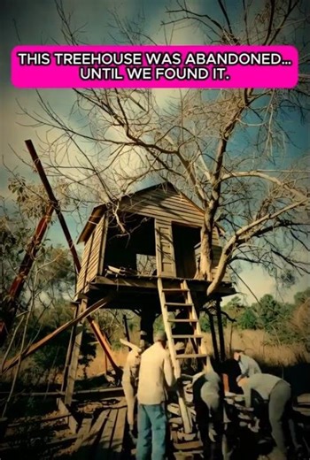 This Treehouse Was Nearly Gone Until AI Did This #beforeandafter #amazing #ai