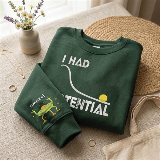 Embroidered I Had Potential Physics T-shirt, Amaze Space Spider Sweatshirt, Science Teacher Joke Hoodie, Vintage Engineering Nerd Apparel - Etsy