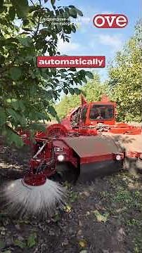 Flory V62 Sweeper | Fast, Clean, and Efficient Orchard Sweeping #agriculture #farming #fypシ #shorts