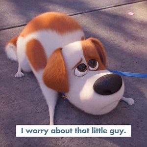 The Secret Life Of Pets 2 | Available Now on Digital, Blu-Ray & DVD