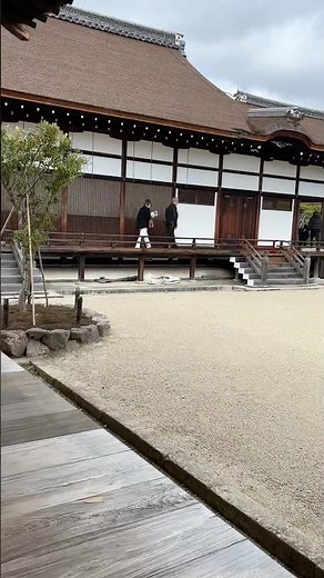 京都旅行 世界遺産 仁和寺 境内散策 #japan #travel #京都