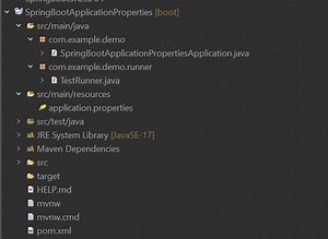 How to access a value defined in the application properties file in Spring Boot