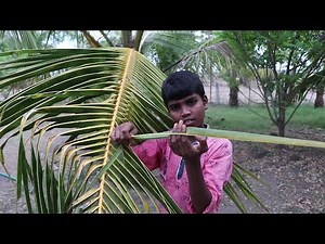 ASMR🌴 COCONUT LEAVES TINGLES Cosmic Relax🏃❤️😴😴😴😴