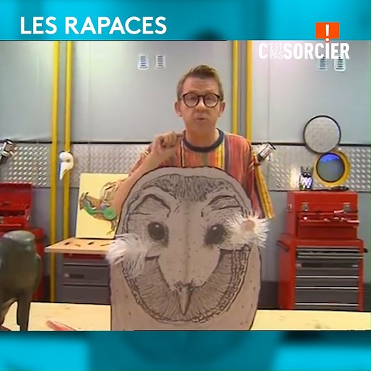 Vous voulez tout savoir sur les rapaces ? Jamy Gourmaud vous dit tout ! | C'est pas sorcier