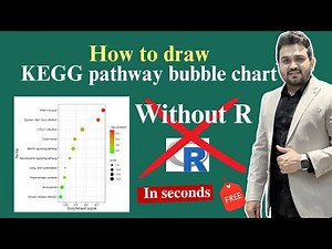 How to draw KEGG pathway enrichment bubble chart?