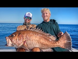 Teaching BlacktipH how to fish!