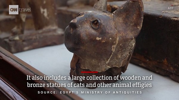 Egypt hails rare find of mummified lion cubs, crocodiles, cats