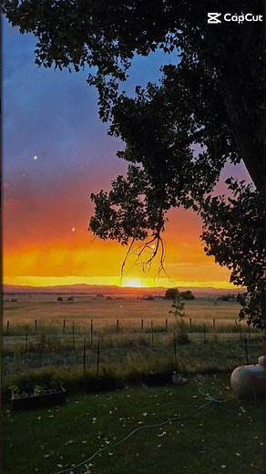 start over flame ft. nf