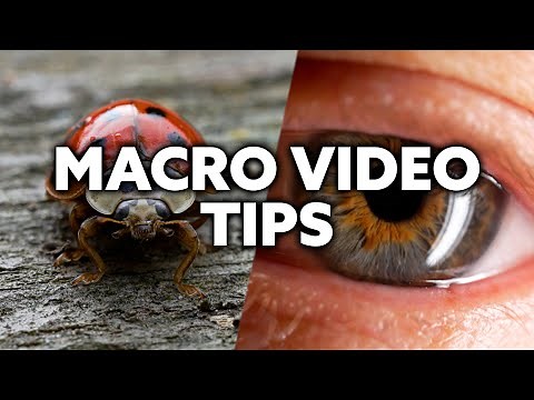 How to Get Cinematic Macro Shots – Tamron 90mm Video Guide