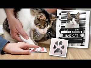 Wanted Through Interpol. Paw Prints Matched.