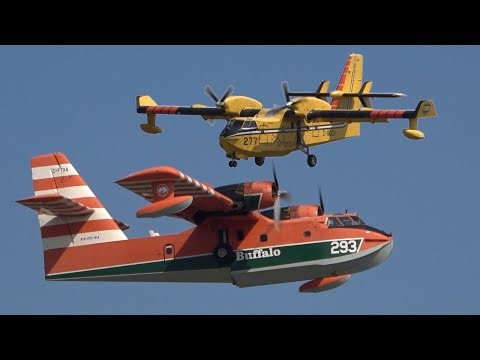Water Bombers - Newfoundland - Takeoff & Landings