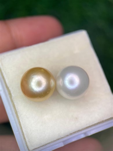 Natural South Sea Pearl Pair Half Drilled | Golden & White Round Pearls | High Luster Loose Pearls for Jewelrys - Etsy