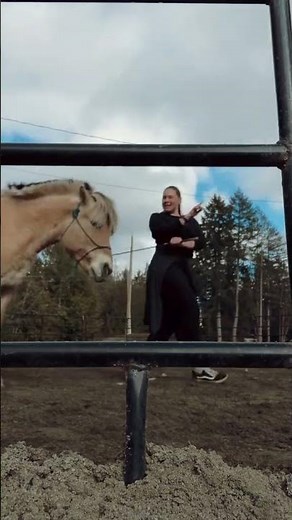 Liberty basics with pony #horse #horseriding #equestrian