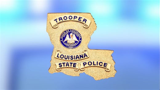 Gonzales woman dies after being hit along La. 44, State Police say