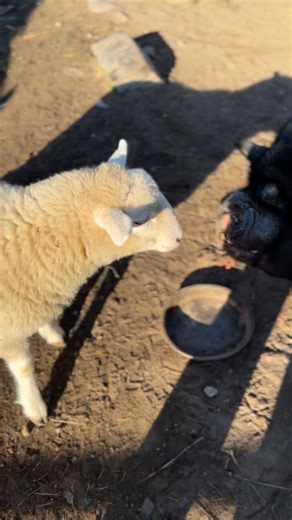 Everyone loves those Arrowroot cookies | Our Farmacy