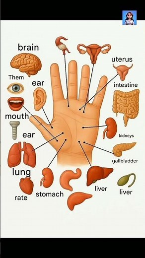 The Secret of Hand That Supports Whole Body | Hand Reflexology #movementjoints #handbalance