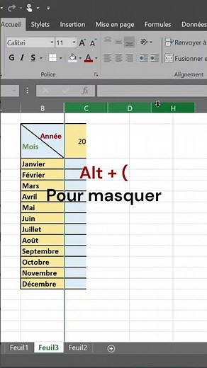 Astuce Excel Masquer et Afficher des Colonnes en 10s ! #excel #exceltips # #exceltricks #tutorial