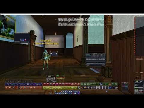 EverQuest 2024: What Heals to Block for the Current expansion to keep your mercenary healer snappy.