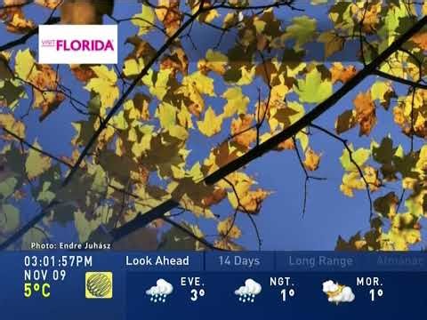The Weather Network - Local Forecast - November 9, 2020