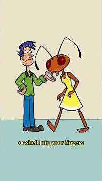 Ant Sarah🐜