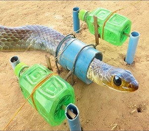 55K views · 349 reactions | Easy snake trap make from plastic bottle | Funny HD 24 | Facebook