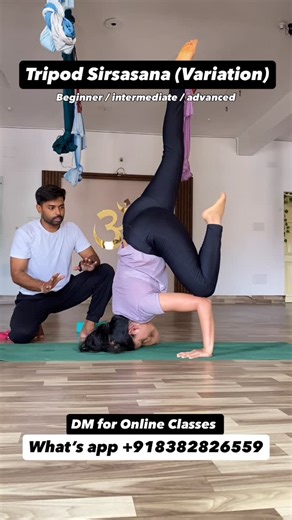 @Yoga professional on Instagram: "Beginner / intermediate / advanced? DM for Online Classes What’s app +918382826559 #yoga #yogaonline #yogawithrudrasir❤️ #yogaforall #yogaforbeginners"