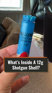 11 reactions |  What’s Inside a 12g Shotgvn Shell?  Ever wondered what makes a shotgvn shell pack such a powerful punch? Let's break it down: Stay tuned as we dive deeper into the mechanics of sh0oting sports!   AmeliaShotgunSports.com #ShotgvnScience #AmeliaShotgvnSports #TargetSh0oting #ClayPigeons #Sh0otingTips Disclaimer: All activities are conducted safely and professionally by trained staff at this regulated facility. | Amelia Shotgun Sports | Facebook