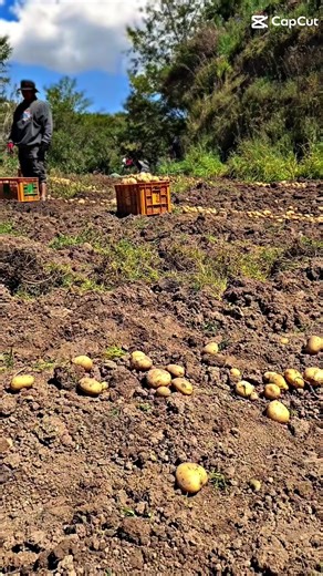 #ybuguias #ymabikariverside #loyaldhbuguias