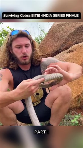 Surviving a Cobra Bite: Key Strategies and Insights