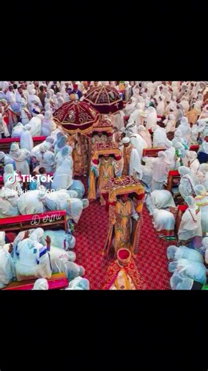 zemari Abel mekebeb (@mule.bos)’s videos with original sound - zemari Abel mekebeb