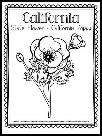 California State Flower Coloring Page: California Poppy {Free Printable!}