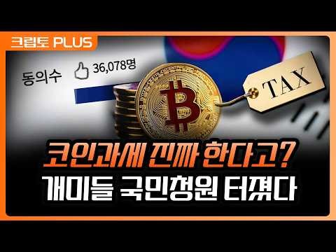 국민연금 가상자산 비중 40%로 급감. 코인과세 확정 앞두고 벌어지는 대탈출일까? 과세 반대 청원까지 | 서동주, 김동환, 박상혁 디지털애셋 편집장 [크립토PLUS]