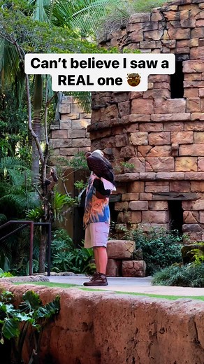 At Disney! #reels | Lifehack Reels