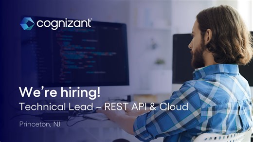 Technical Lead - REST API & Cloud - 67254611