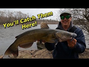 Tips to Catch TONS of Catfish from Shore Right Now! (Fast Action)