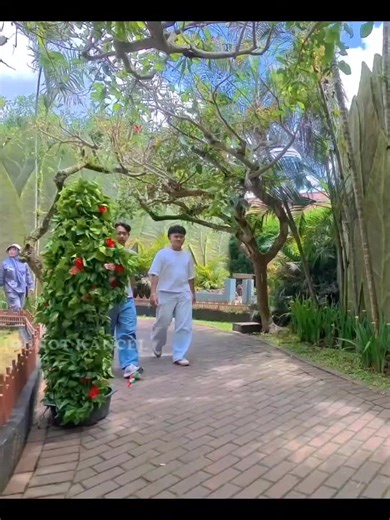 Bushman Pranks: Hilarious Reactions and Funny Moments