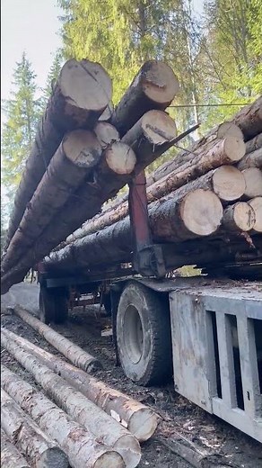 An Unconventional but Effective Log Self Loading Method Using a Cable System