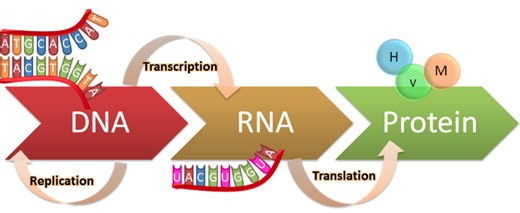 Class Notes, By Unit
