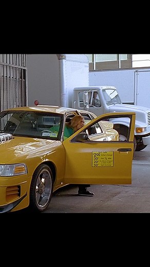 Taxi Movie Scenes: Queen Latifah's Hilarious Action Moments