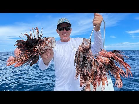 Spearing the Biggest most Venomous Lionfish I’ve ever Seen! (Catch Clean & Cook)￼