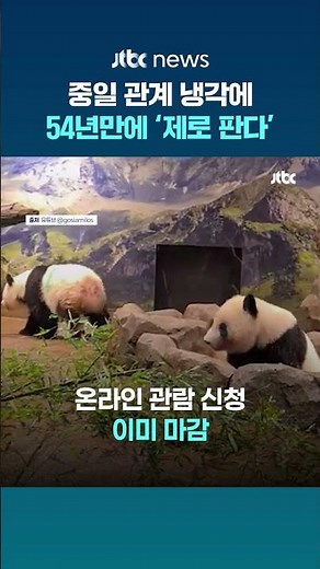 일본, 54년만에 ‘제로 판다’? 쌍둥이 판다 ‘레이레이’, ‘샤오샤오’ 중국 간다 #JTBC #Shorts