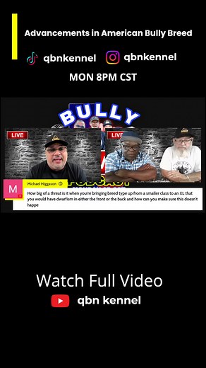 Evolution of American Bully Dog Breed: From unstable gene pools to advanced breed types! 🐶💥 #DogBreeds #EvolutionOfDogs #BreedAdvancement #Americanbully | QBN Kennel