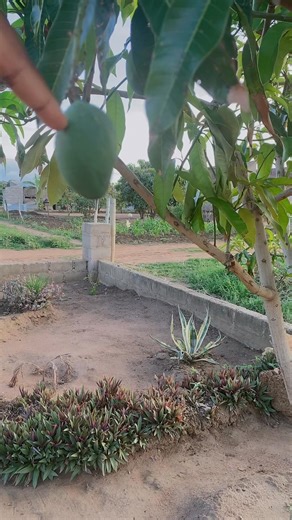 Sicela mangoza xem 🥹 | Tersia Nocpho