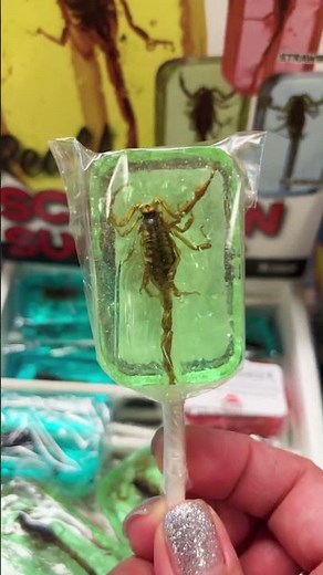 Real Scorpion Lollipop. Would you try it? #candy #scorpion #bizarrefood