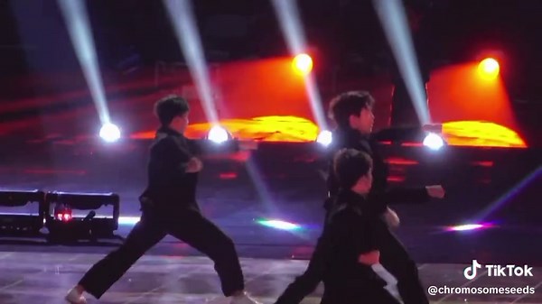 Chromosome Seeds Shine at Lay Zhang's Concert